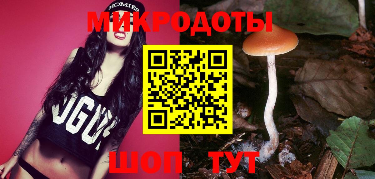 Псилоцибиновые грибы мухоморы Калининград
