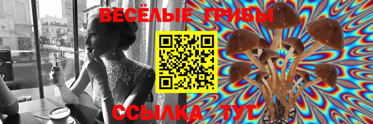 Псилоцибиновые грибы прущие грибы  Вход с VPN  Калининград 